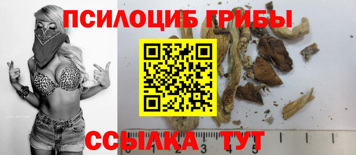 цена наркотик  Вход с VPN  Рузаевка  Галлюциногенные грибы GOLDEN TEACHER 
